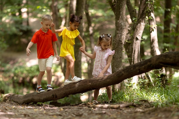 Bambini curiosi che partecipano a una caccia al tesoro nella foresta