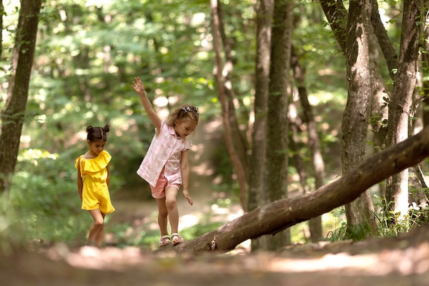 Foto bambini curiosi che partecipano a una caccia al tesoro nella foresta