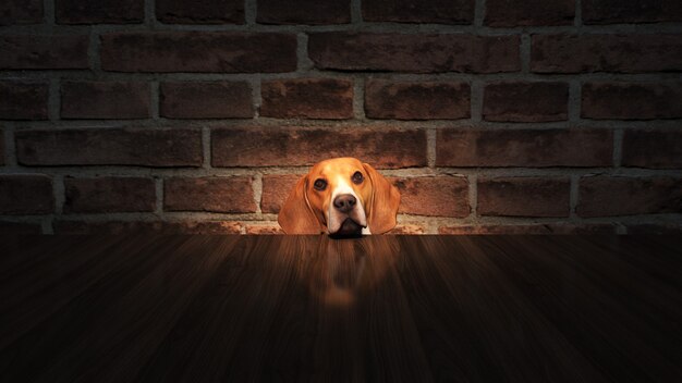 curious dog peeking the table from below 3d rendering