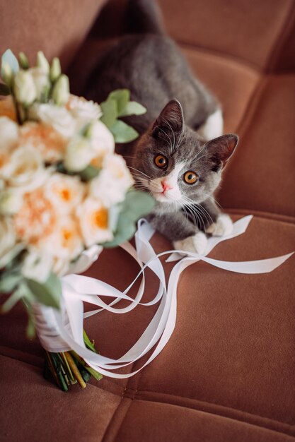 Foto un gattino curioso gioca con un bouquet da sposa 3968