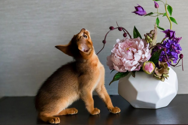 Curious kitten with a vase of flowers