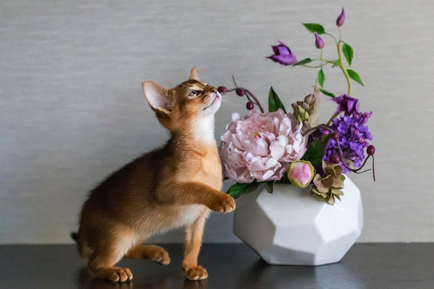 Curious kitten with a vase of flowers