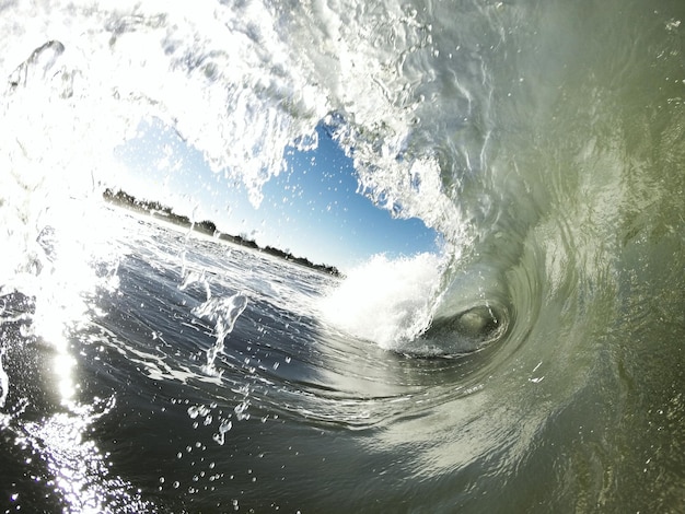 Photo curled up wave