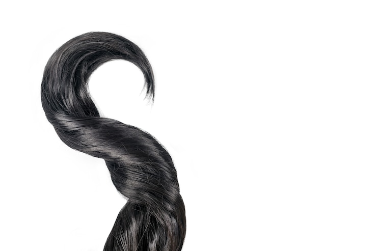 Photo 白い背景で隔離の巻き毛の黒い髪。美しい健康的な長い黒髪のロック、ヘアカット、ヘアスタイル。染めた髪またはカラーリング、ヘアエクステンション、キュア、トリートメントコンセプト、テキスト用のコピースペース。