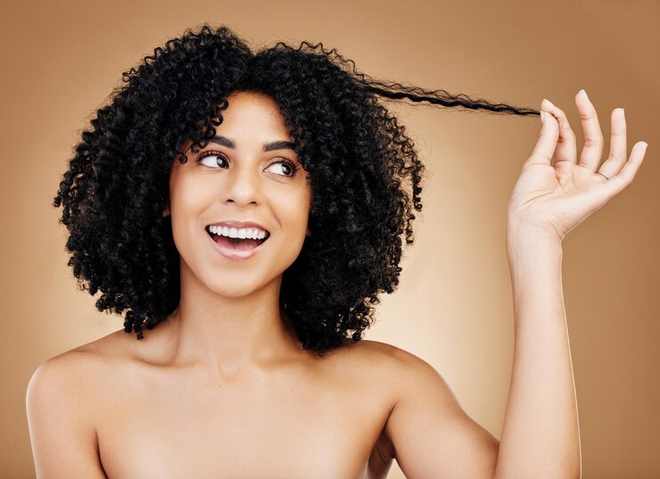 Curly hair strand and woman in studio for beauty healthy growth or natural coil textures on brown background Happy model pull afro hairstyle for salon aesthetic keratin treatment or cosmetic care
