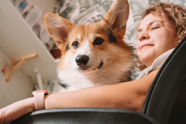 Curly haired cheerful woman owner with dog corgi sitting chair near table at workplace indoors Baby accessories shop