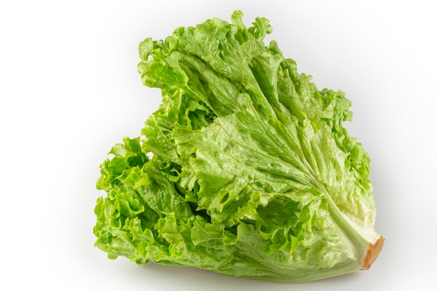 Curly lettuce isolated on white background