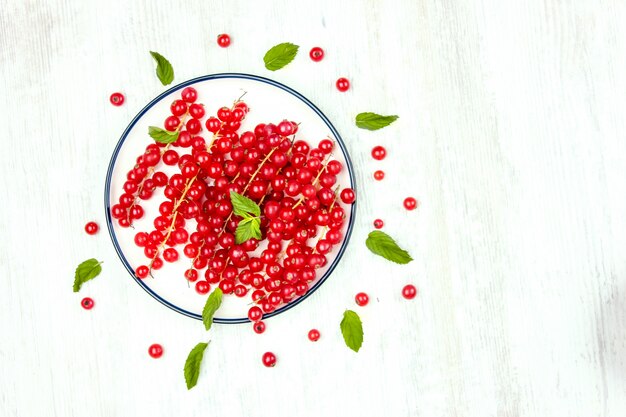 Currant berries in a white plate 