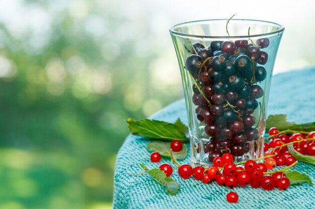 Currant in the glass