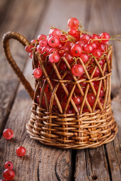 Currant pink  fruits