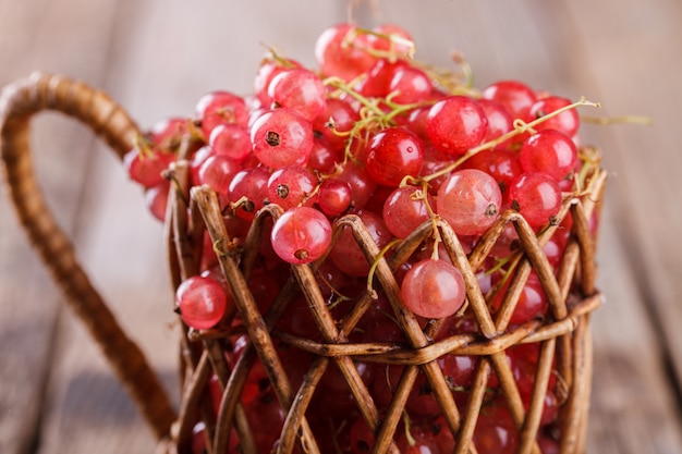 Currant pink  fruits