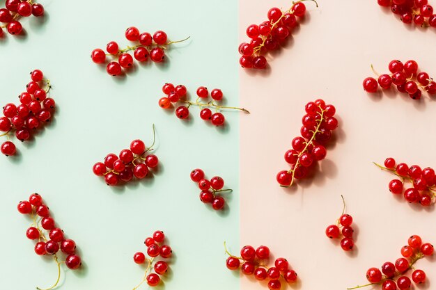 Currants pattern flat lay on pastel texture background.