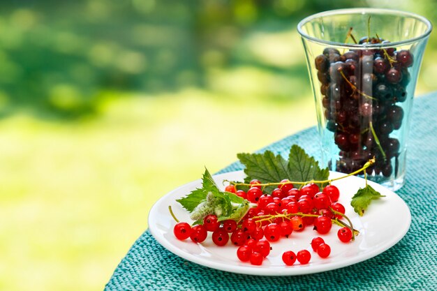 Currants on the plate