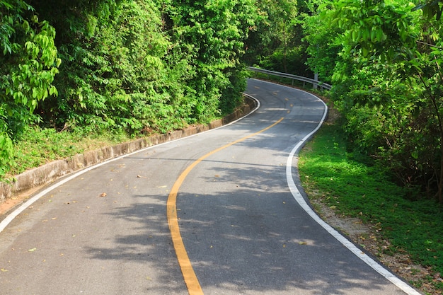 Foto vista della strada asfaltata della curva in parco nazionale