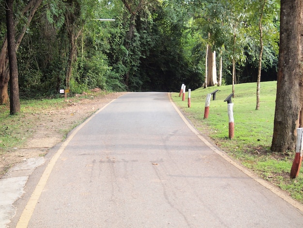 curve asphalt road view 