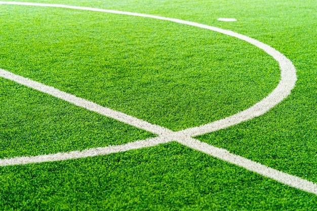 Photo curve line of an indoor football soccer training field