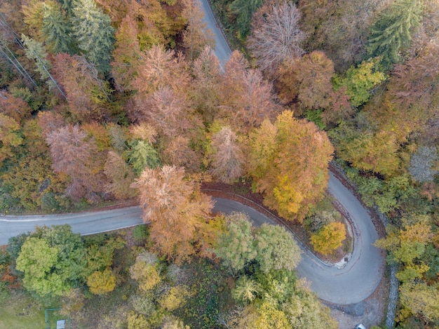 Photo curve on the mountain road