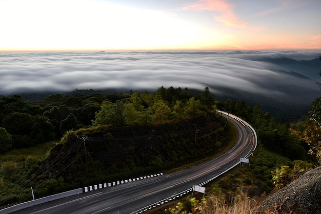 Curve road in a forest with overwhelmed sea of fog in a morning