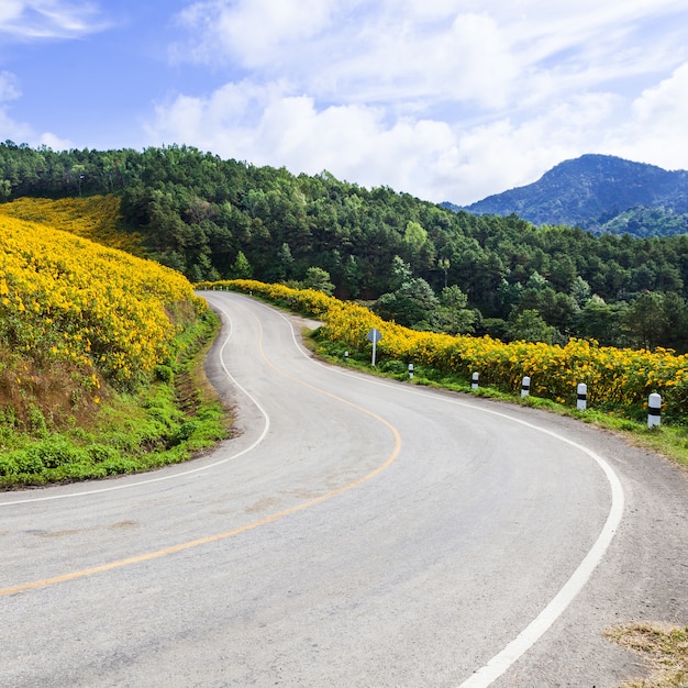 山のカーブ道路