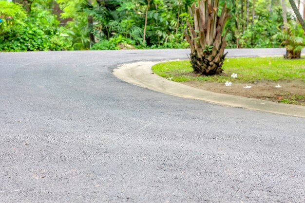 Curve of the road path to the forest