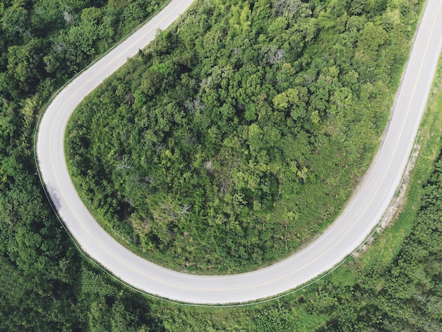 Photo curve road top aerial top view rural road in the forest road and rain forest aerial view road in nature ecosystem and healthy environment
