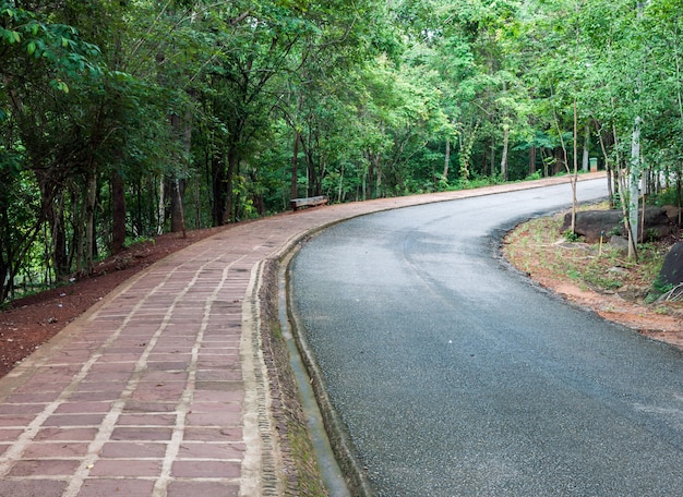 Curve road