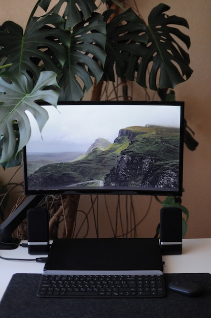 Фото Изогнутый большой экран с ноутбуком. стильное и современное рабочее место дома с домашними растениями