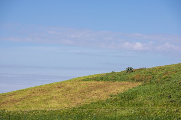 Фото Кривая гора с зеленой травой на холме на фоне голубого неба