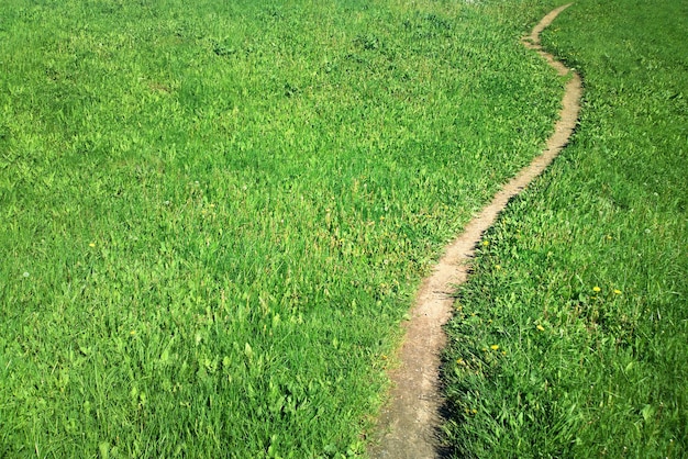 緑の夏の芝生の背景に湾曲したパス