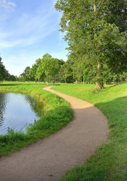 公園の曲がった道。緑の木々や草のある湖岸