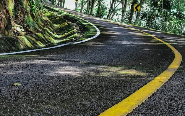 Curved road trees and grass on roadside.