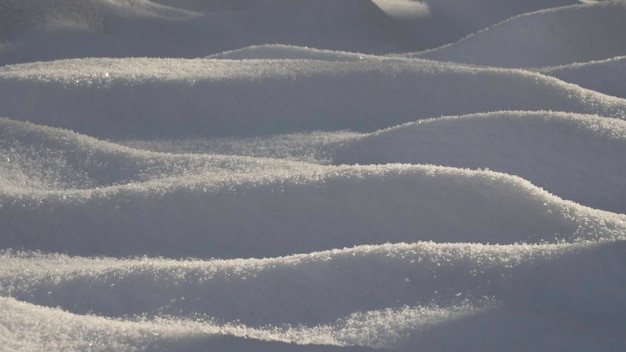 写真 冬の雪の曲線