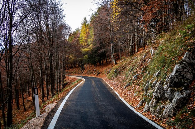 Photo curvy road in the autumn landscape