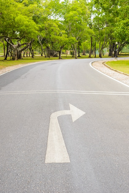 A Curvy Road Of Fresh Green