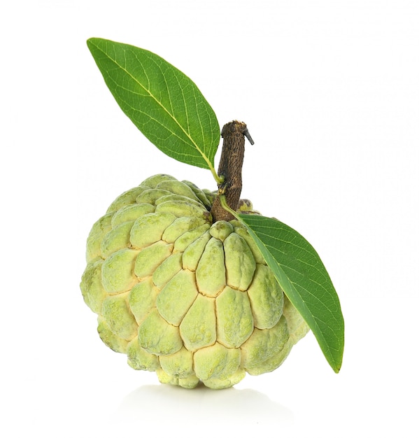 Custard apple isolated, annona