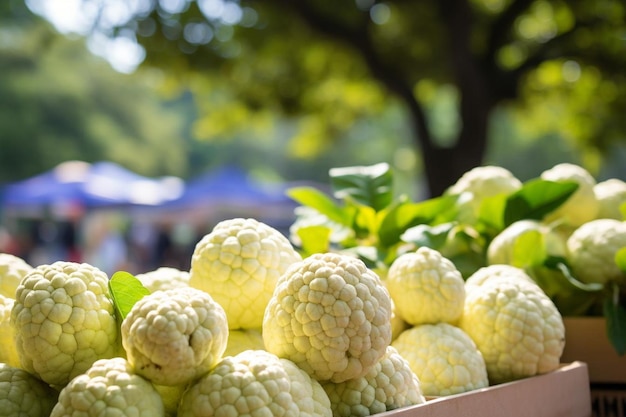 Photo custard applethemed farmers market stall custard apple picture photography