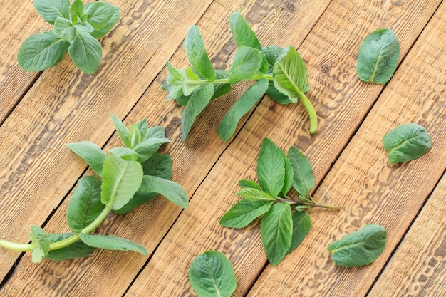 Cut branch of mint on wooden boards