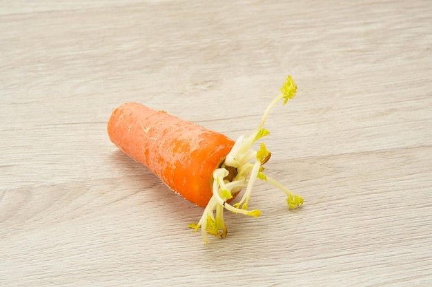 Cut Carrot with Sprouts on wooden table