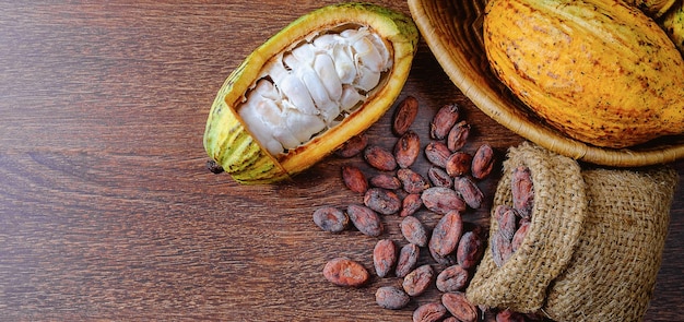 Cut in half fresh cacao fruit or cocoa pods and dry cocoa beans in a brown sack on wooden background