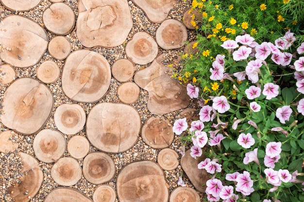 Cut logs, path, garden decorative