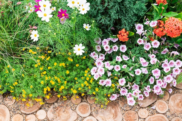 Cut logs, path, garden decorative