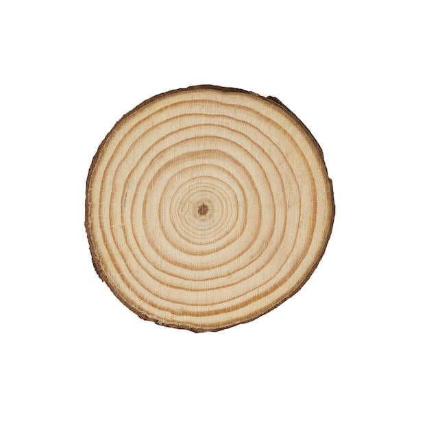 A cut piece of wood isolated on a white background