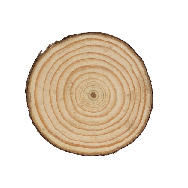 A cut piece of wood isolated on a white background