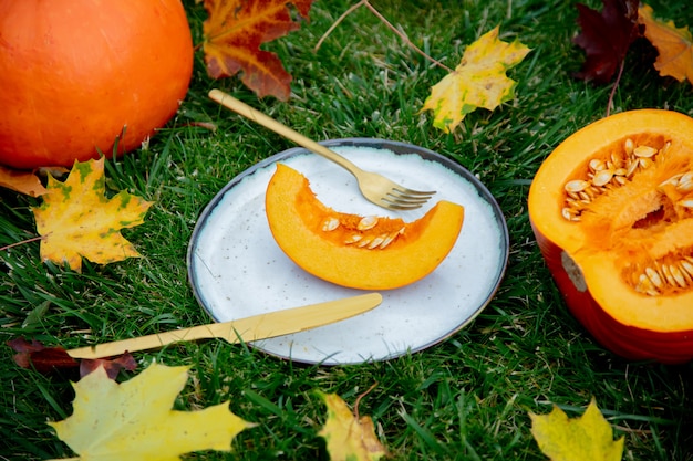 Cut pumpkin on a plate with cutlery on green grass