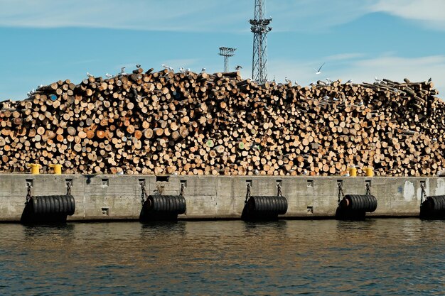 Cut timber catastrophic deforestation sawn wood stored in the port