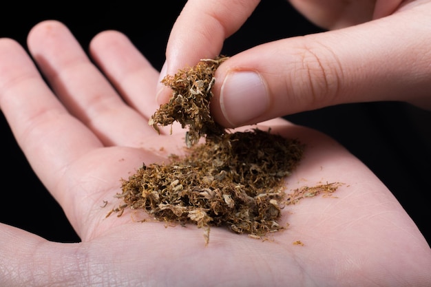 Cut tobacco in hand as a smoking concept