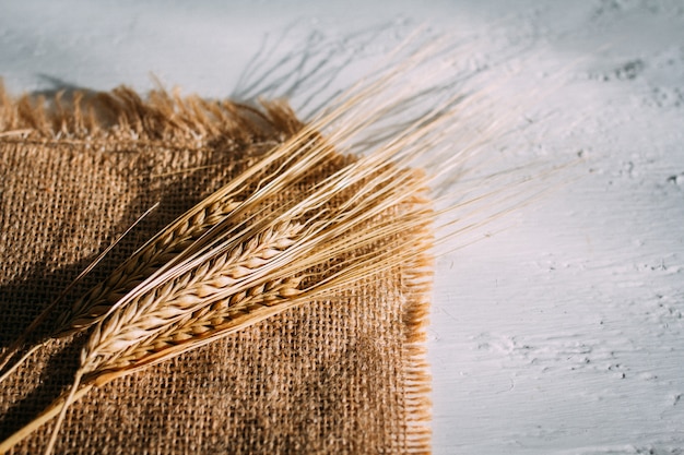 Foto taglia le spighe di grano che giacciono sulla tela