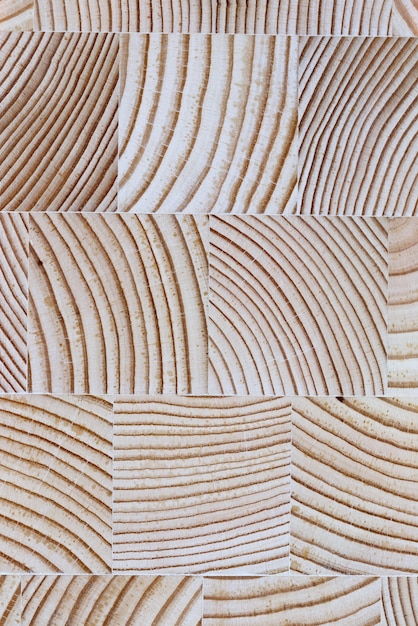 Photo the cut wood with the texture and growth rings