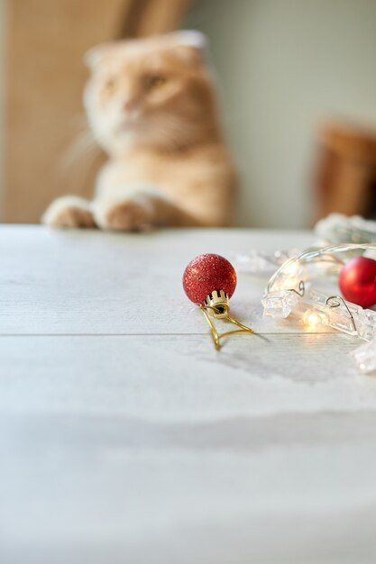 Un simpatico adorabile gatto britannico che gioca con le palle di natale a casa, ornamenti di natale, gatto di natale, capodanno