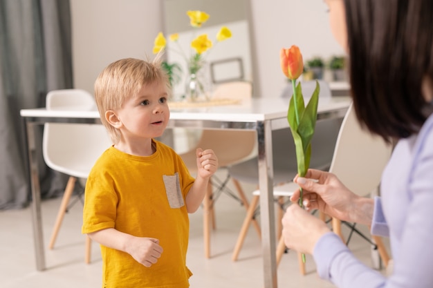 Cute amazed little boy looking at orange tulip held by his mother while standing in front of her on background of otable with chairs